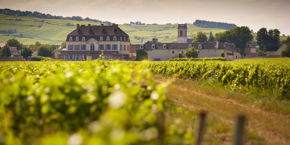 Château de Pommard - Classification vins de Bourgogne