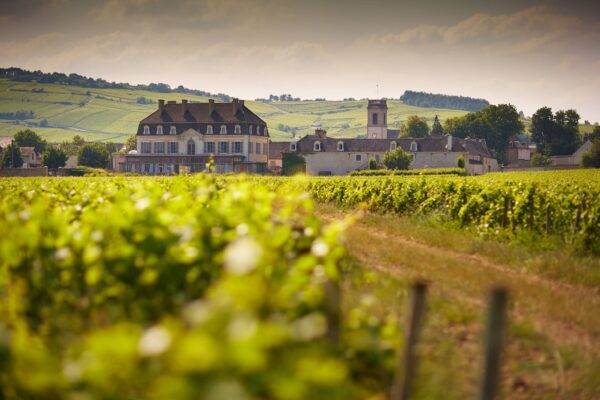 Château de Pommard - Classification vins de Bourgogne