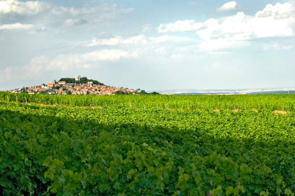 Sancerre Vallée de la Loire