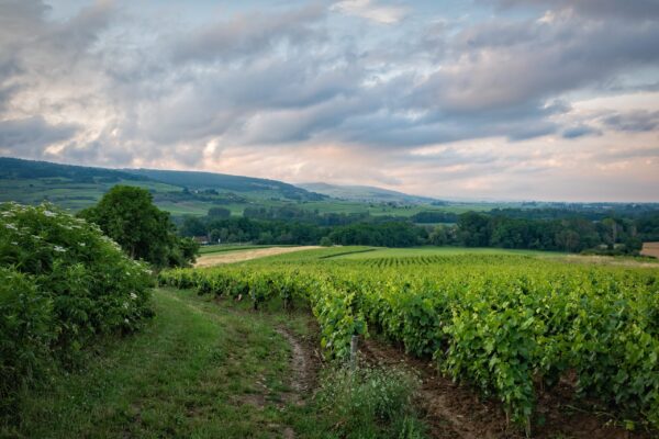 Bourgogne