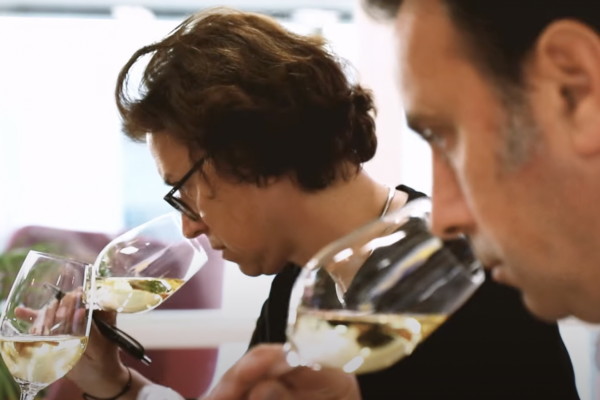 oenologue-et-sommelier-qui-découvrent-les-arômes-d'un-verre-de-vin-blanc-au-cours-d'une-dégustation-à-l'aveugle