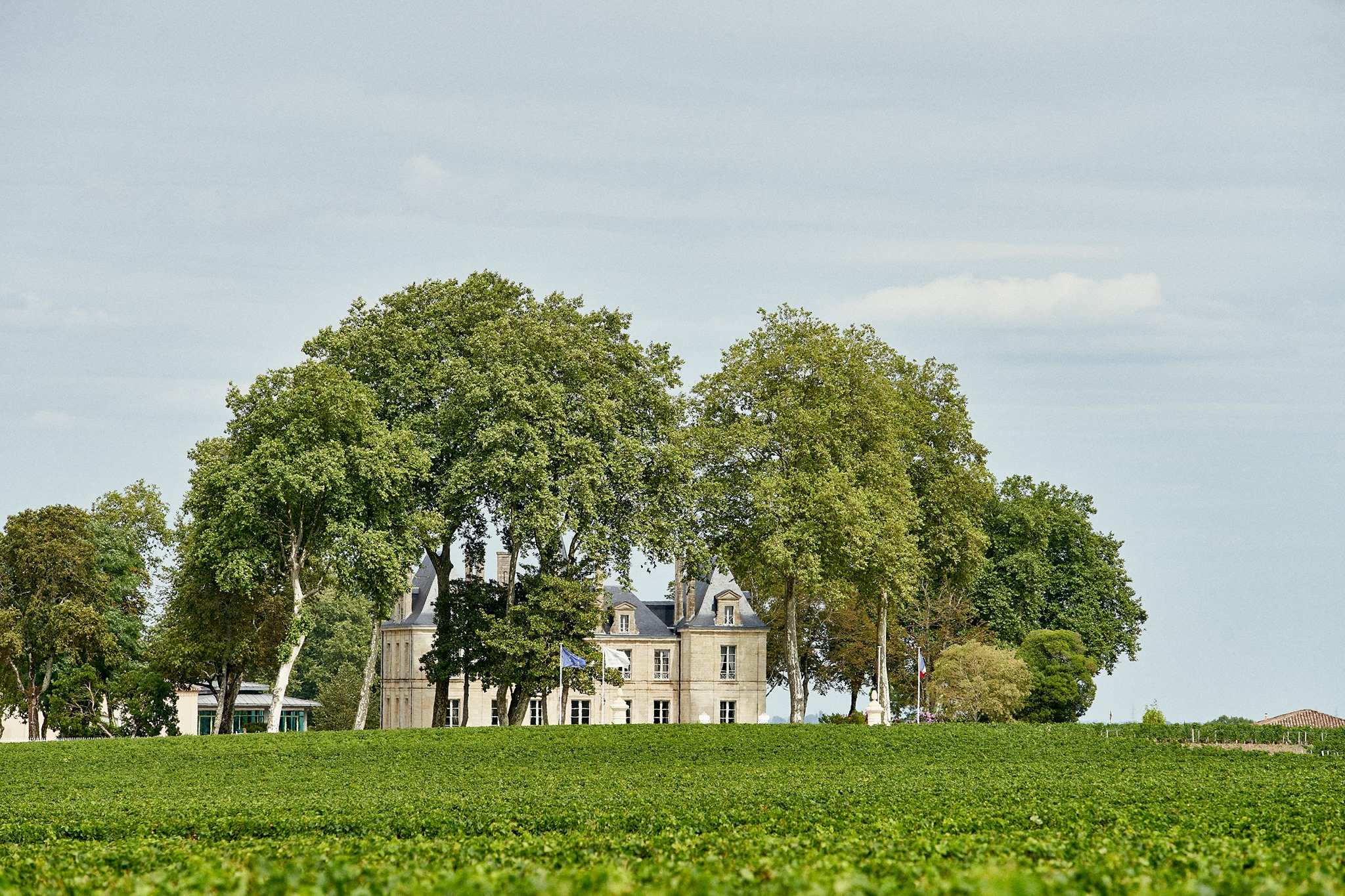 Château Pichon Longueville Comtesse de Lalande Grand vin