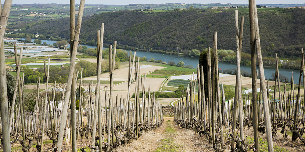 Rhône