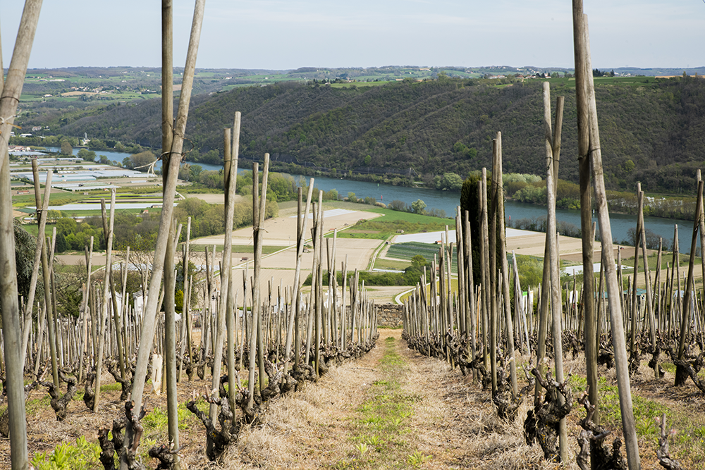 Rhône