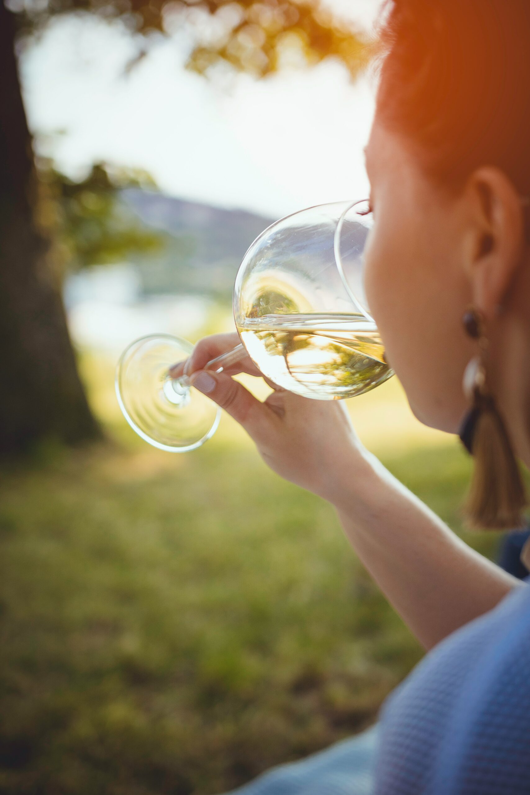 Découvrez les étapes de la dégustation du vin : tout un art !