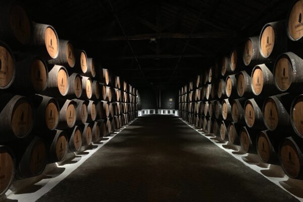 cave à vin avec des barriques contenant du vin