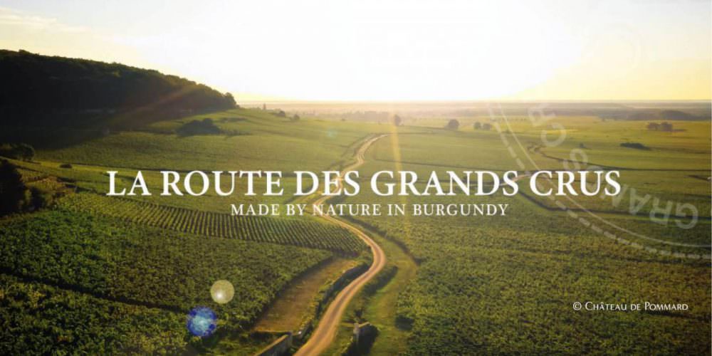 Grands crus bourgogne