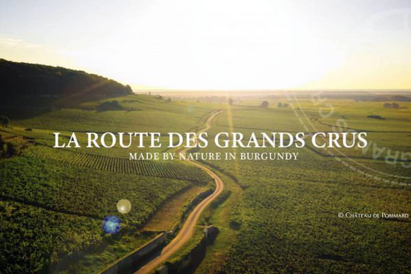 Grands crus bourgogne