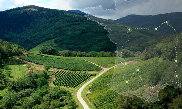 Route des vins