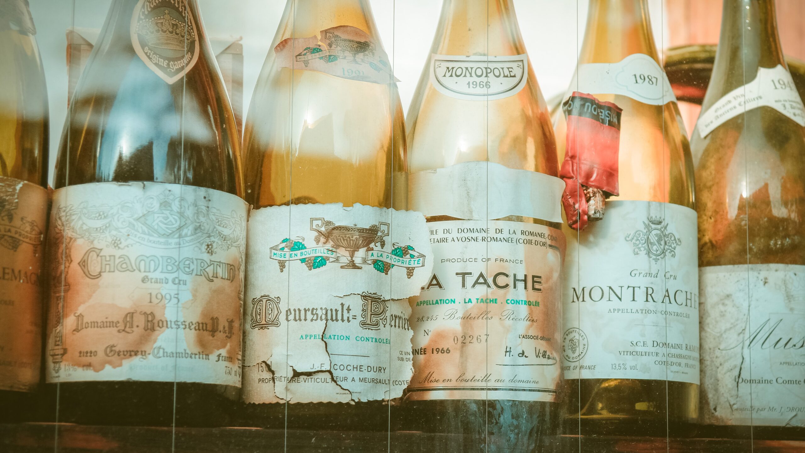 Bouteilles de l'ancien et du nouveau monde du vin