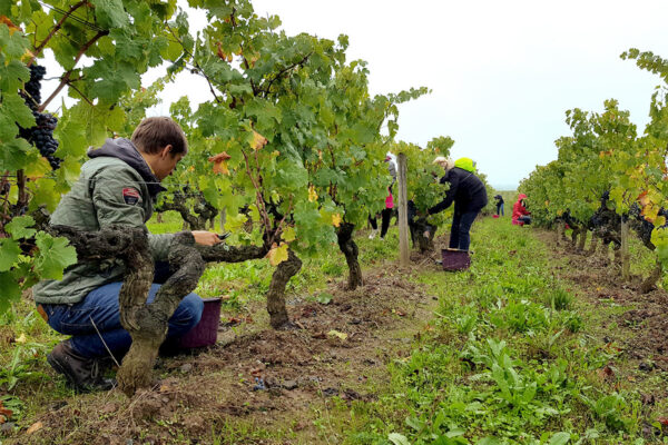 Ontdek de onderneming